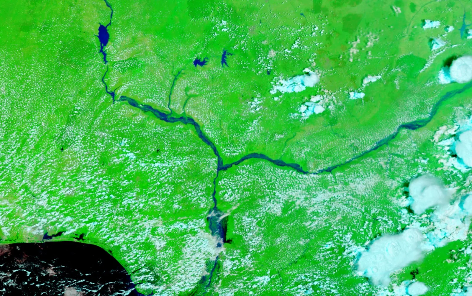 False-colour satellite image of flood water across southern Nigeria, October 2022. Imagery: NASA Earth Observatory